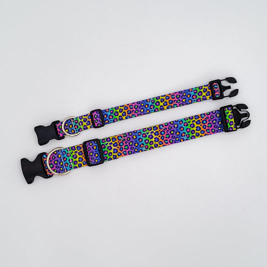 Rainbow Leopard Collar