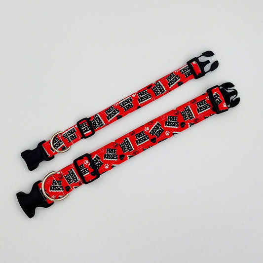 *PREORDER* Free Kisses Collar