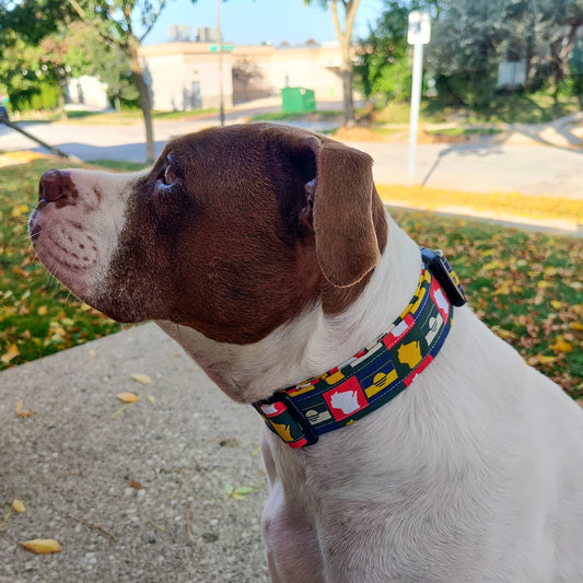 Wisconsin Collar