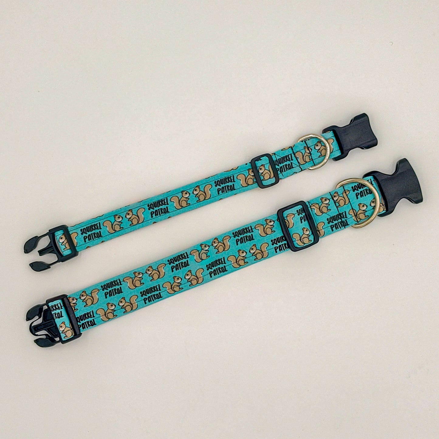 Squirrel Patrol Collar