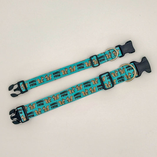 Squirrel Patrol Collar