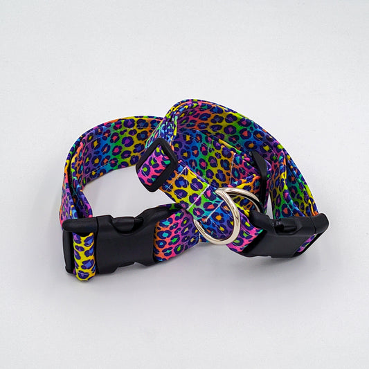 Rainbow Leopard Collar
