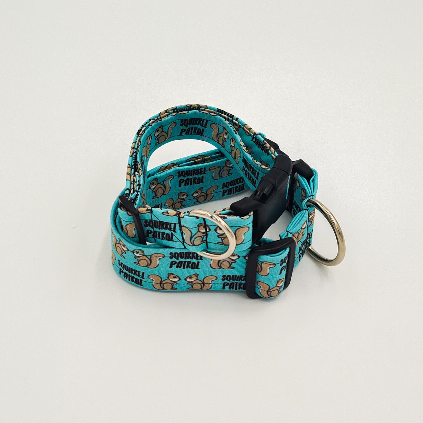 Squirrel Patrol Collar