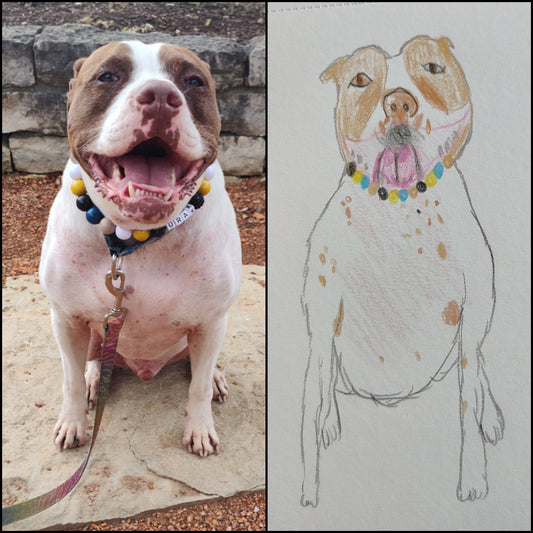 Terrible Dog Portraits